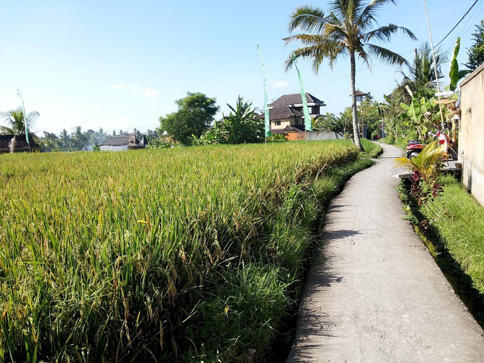 Jagi विला Ubud (Bali)